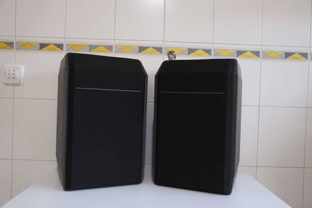 Bose - 301 serie IV colunas 150 watts