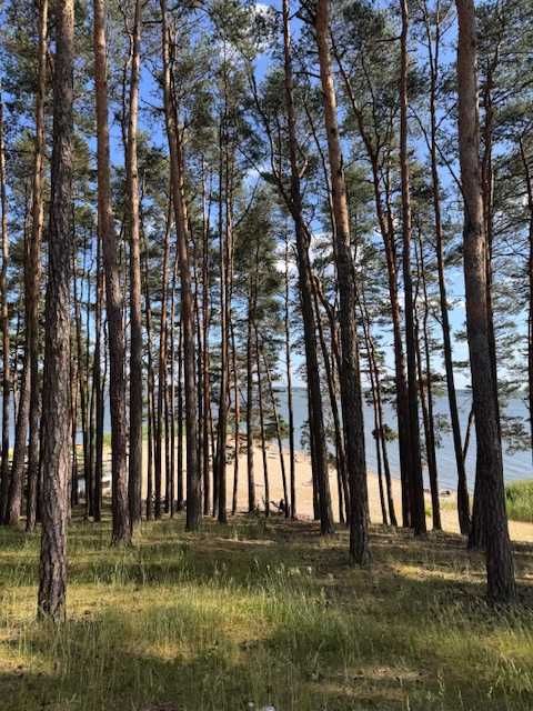 Apartamenty Turawa Lake Apartments Jezioro Duże.