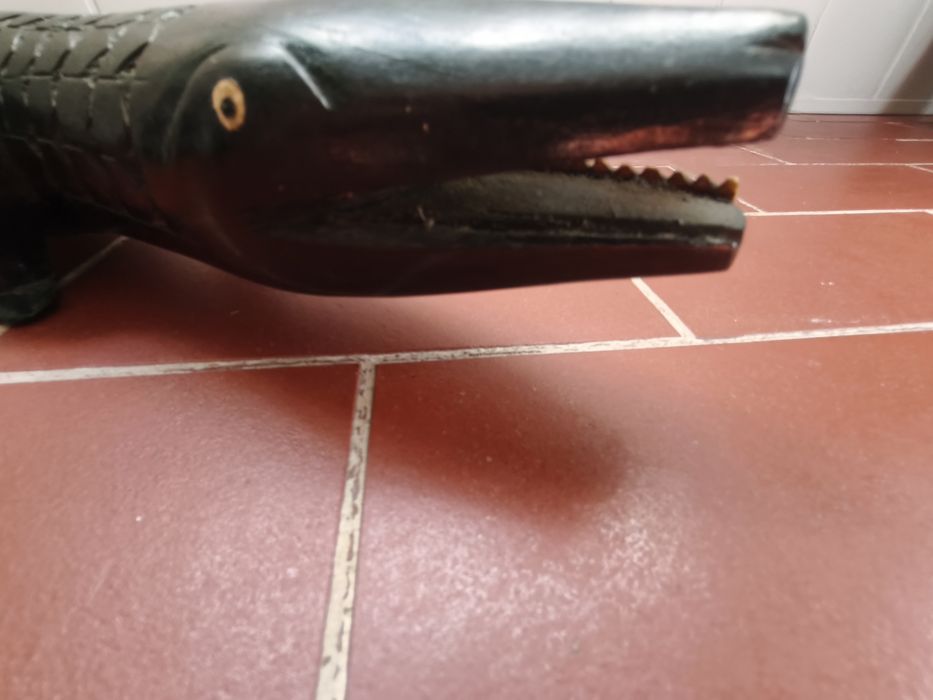 Crocodilo pau preto