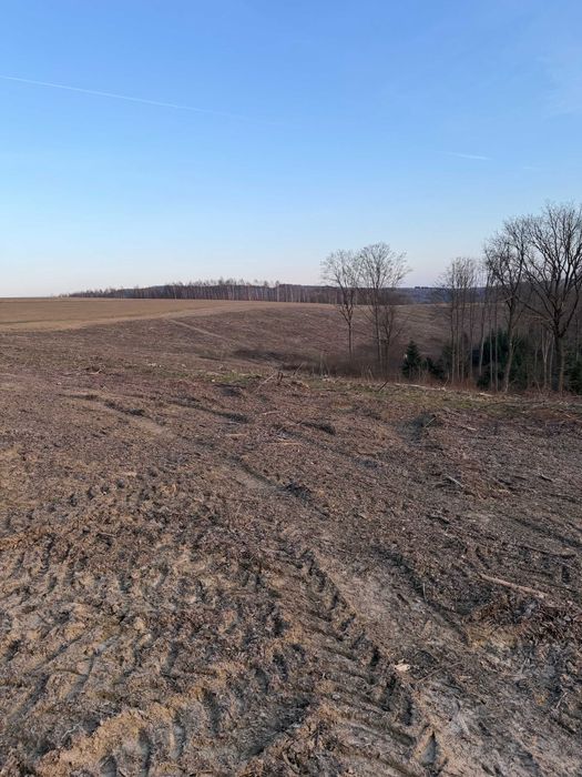 Mulczowanie, wycinka drzew i zakrzaczeń, karczowanie