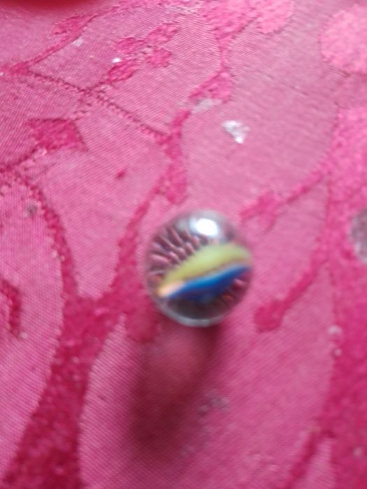 História Gaivota e gato que a ensinou a voar-Sepu5E-B.antigo2E Desde2E