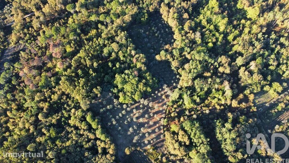 Terreno Agrícola em São Cipriano e Vil de Souto