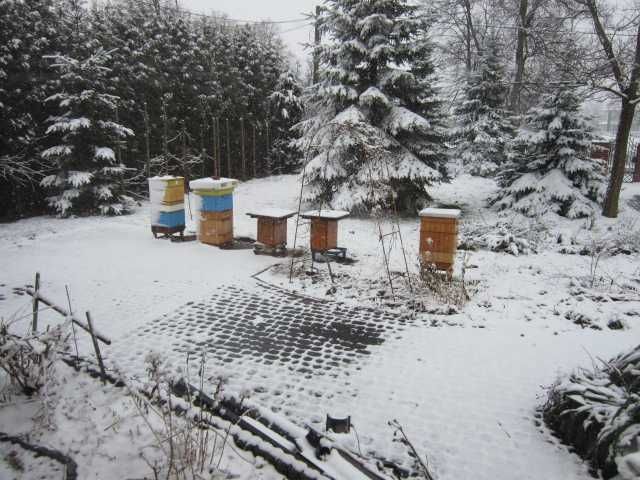 Rodziny pszczele, odkłady