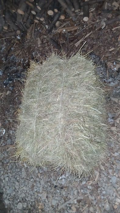 Siano w kostkach 2025r