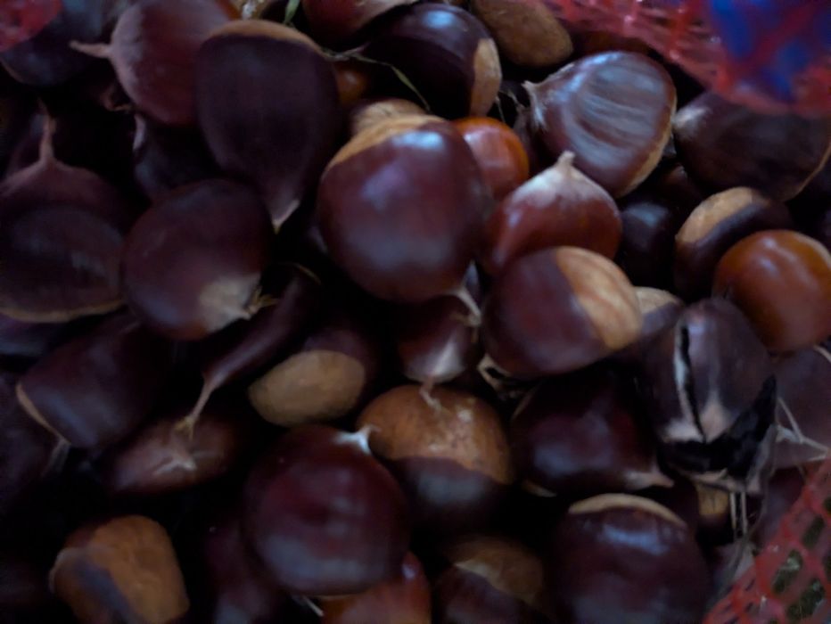 Castanha a 3€/kg