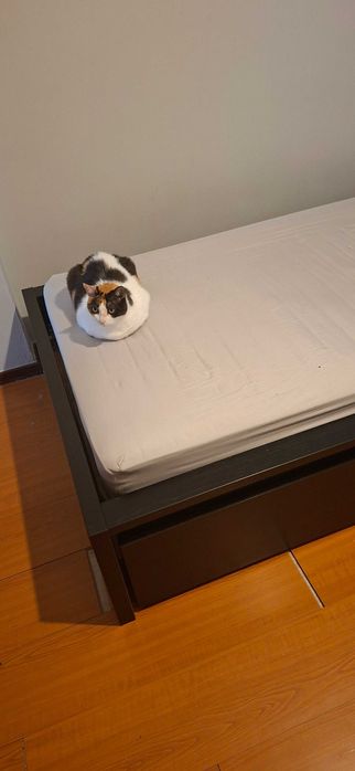 2 camas ikea praticamente novas - 100€ cada