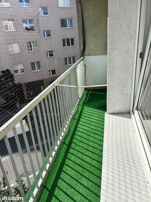 Zdjęcie 8