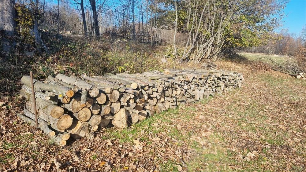 Sprzedam drzewo opałowe drewno na opał