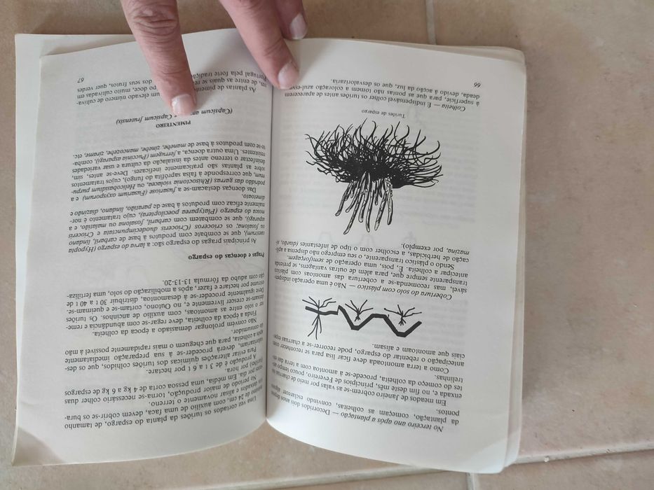 Horticultura e Floricultura - Sousa Veloso/Jorge Garrido/J. M. Bettencourt