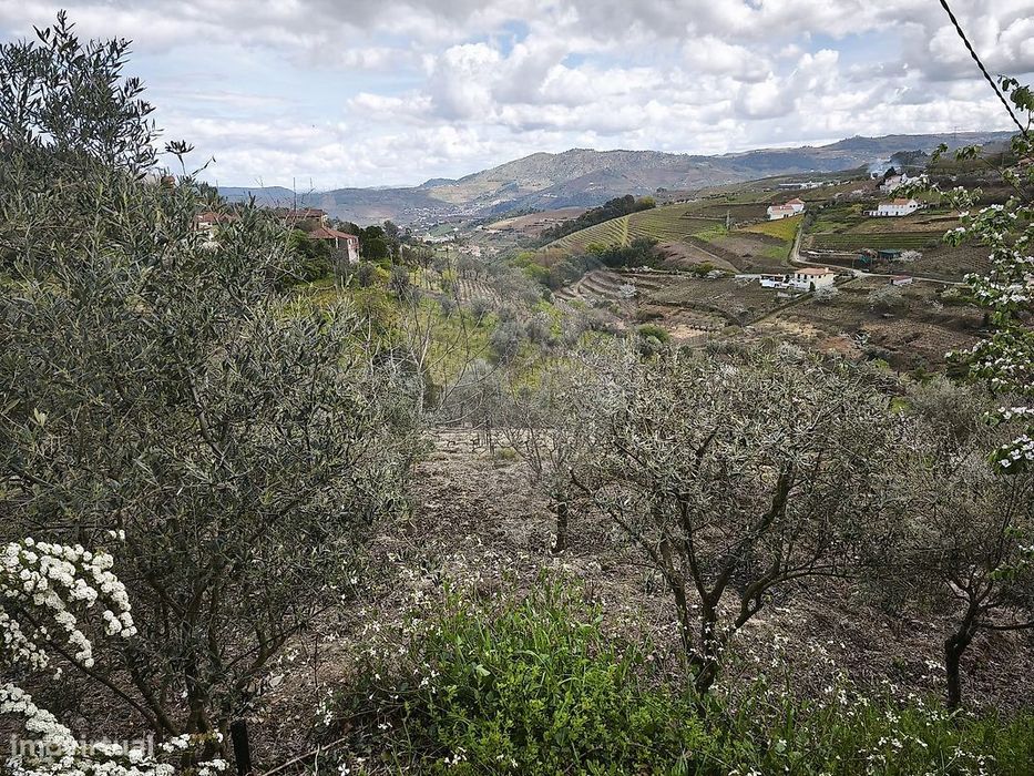 Terreno  para venda