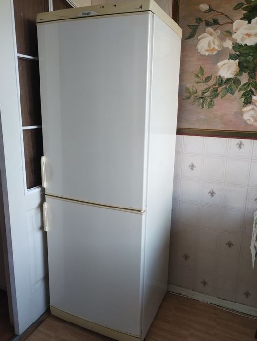 Холодильник Snaige RF310 173х60х60: 2 600 грн. - Холодильники