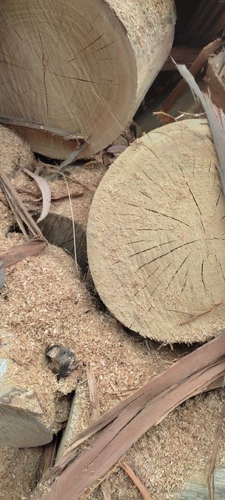 Lenha Seca Eucalipto/Pinho