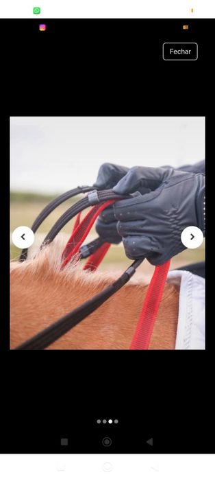 Peitoral com gamarra