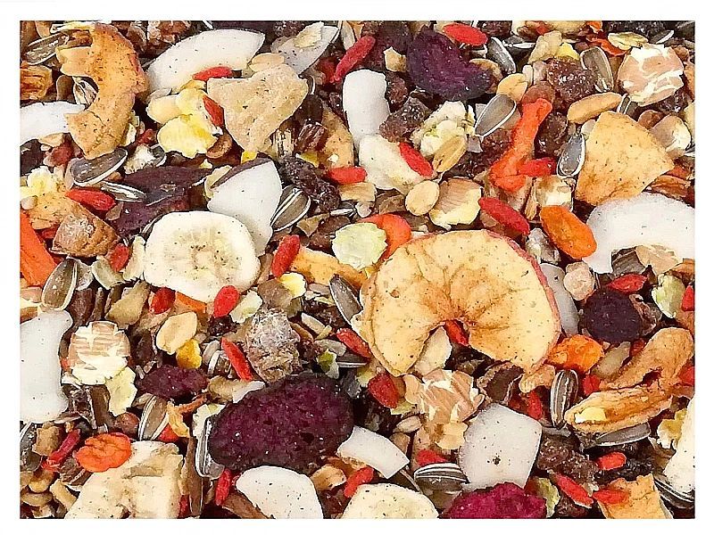 3kg Egzotyczna karma Champi dla papug średnich i dużych – mieszanka pr