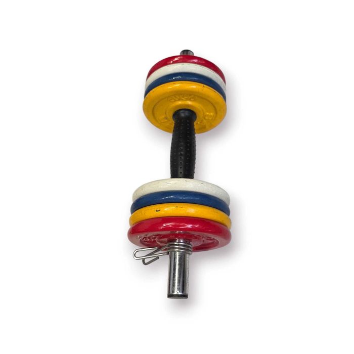 Conjunto Halteres Ajustáveis Salter “Mancuernas Junior” – 11 Kg