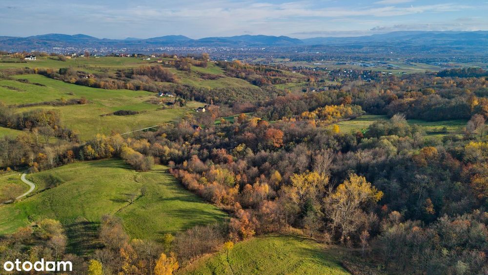 Działka rolna + rolno-leśna  3,5 ha - TRZETRZEWINA