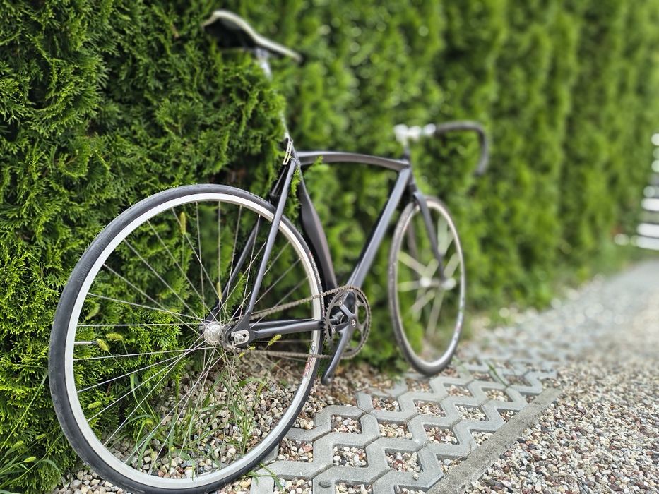 Rower torowy, ostre koło, single speed
