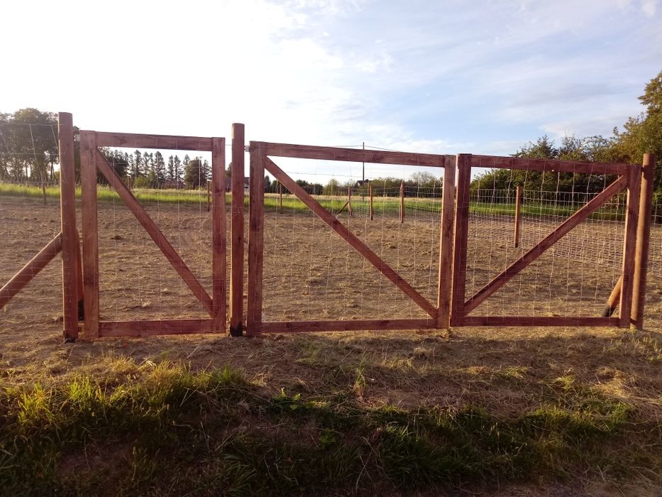 Ogrodzenie tymczasowe z siatki leśnej