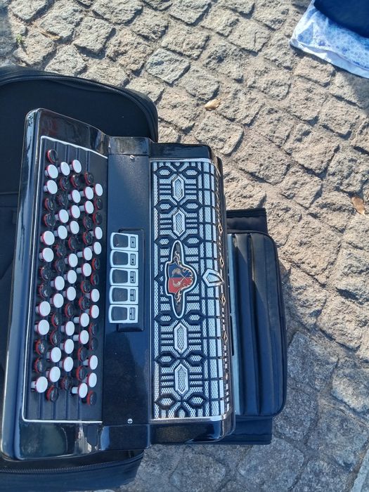 Accordion with Case64740316902530121