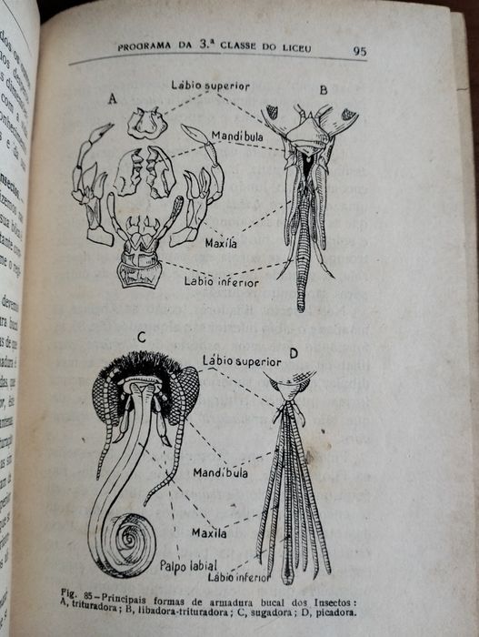 Livro Noções de Zoologia 1934