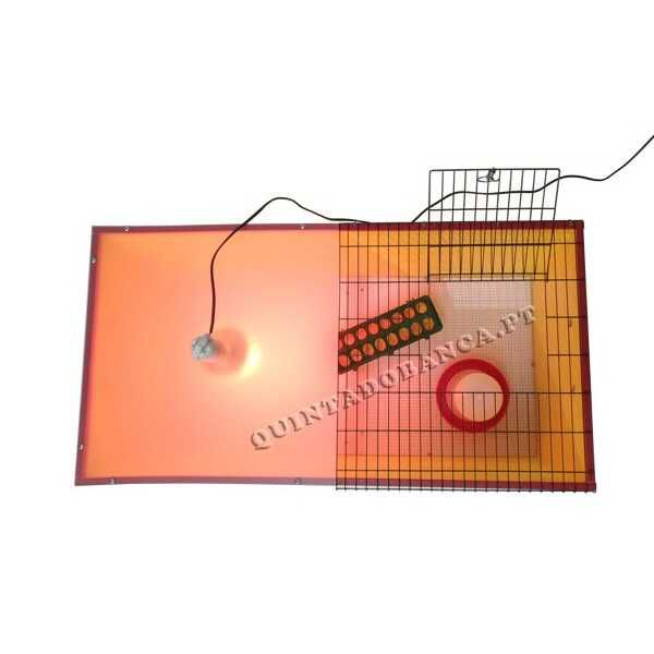 Criadeira Chick Max com Acessórios para Pintos, Codornizes