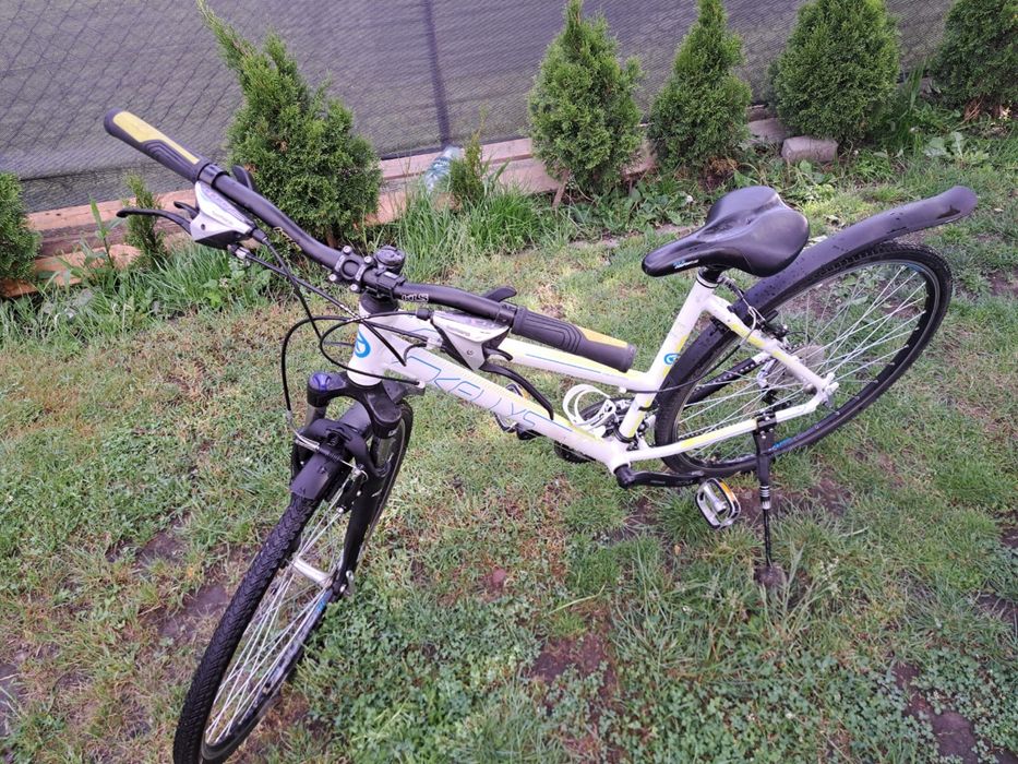 Rower Kellys Clea70