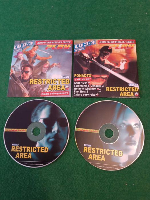 Gra PC - Restricted Area
