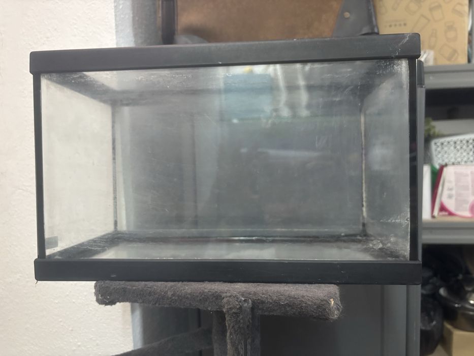 Aquario preto da para peixes oubpara tartarugas