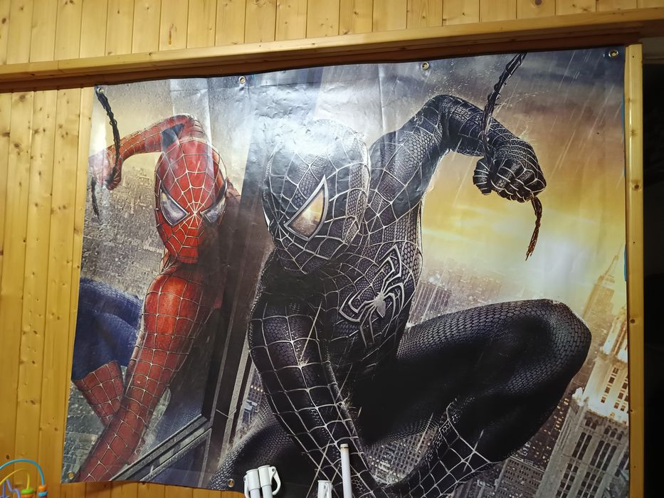 Alugo Lona Spider Man 120x150