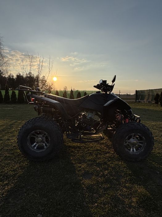 Cobra alfarad 250 (bashan)