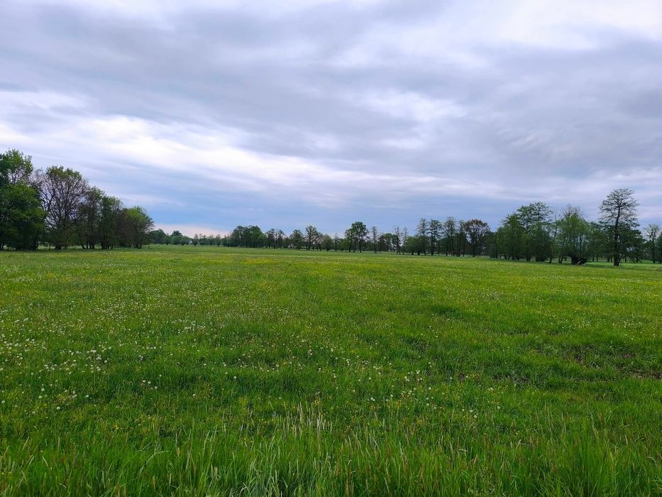 Sprzedam działkę orną/ łąkę