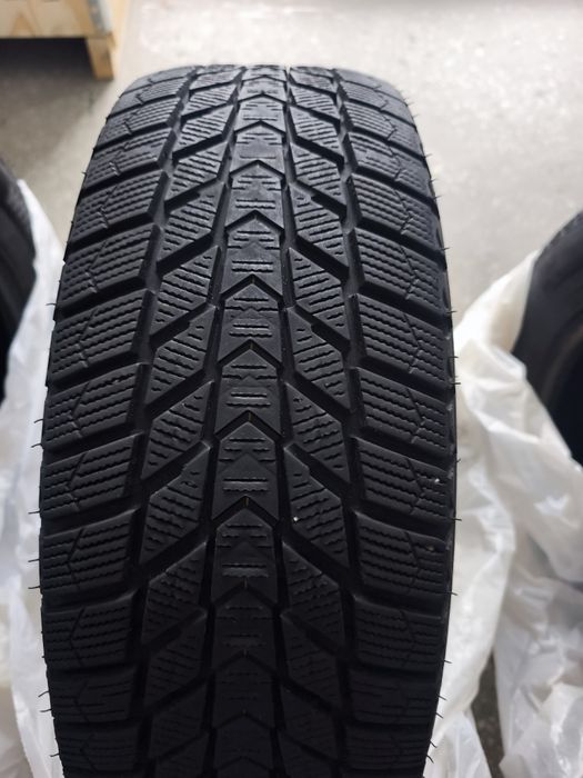 NEXEN WinGuard ice Plus WH43 195/65R15 95T