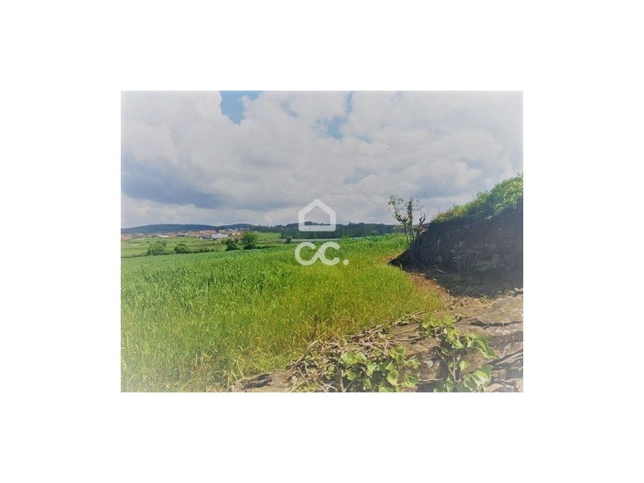 Land Plot in Balazar