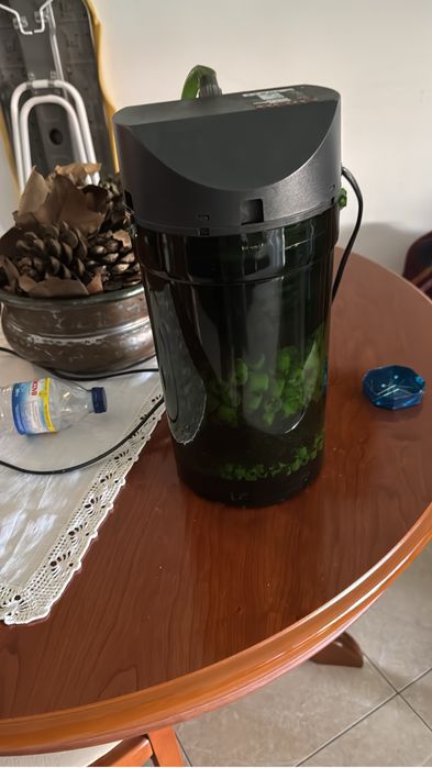 Aquário de 80 Litros com Móvel e Acessórios | Ideal para Peixes, Répteis ou Plantado