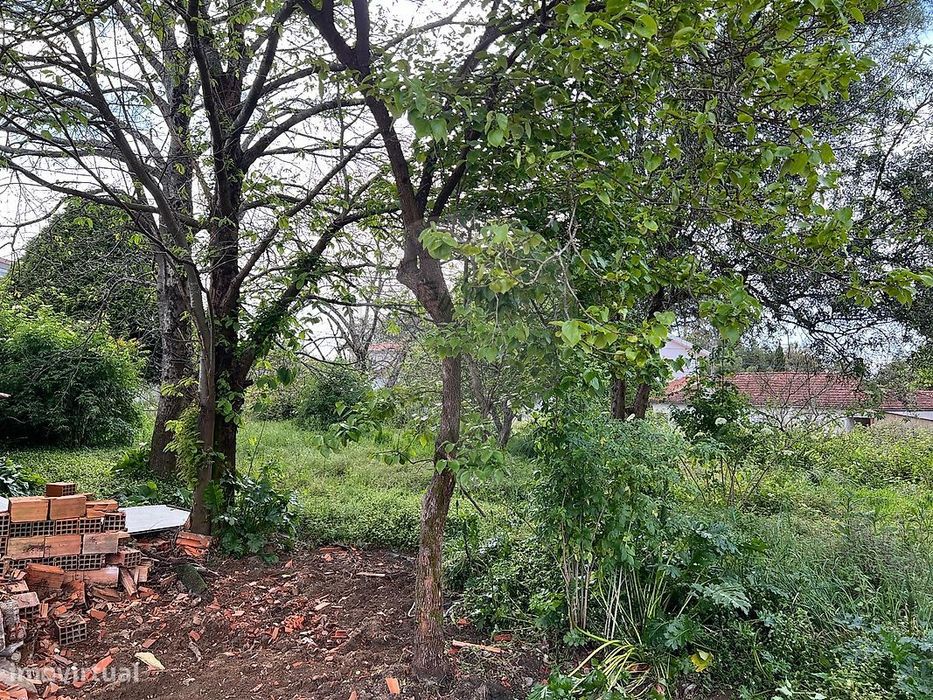 Terreno  para venda