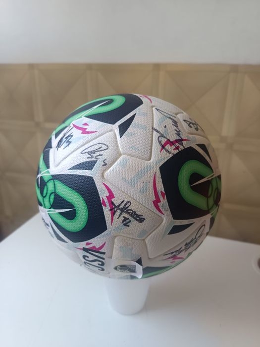 Bola oficial autografada