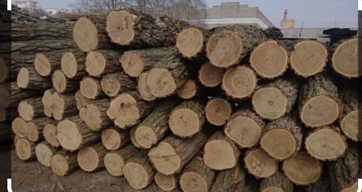 Продам дрова твердихпорід