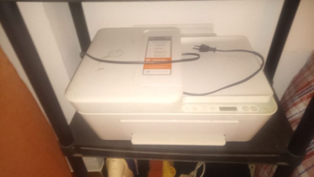 Para adopção não dou trabalho