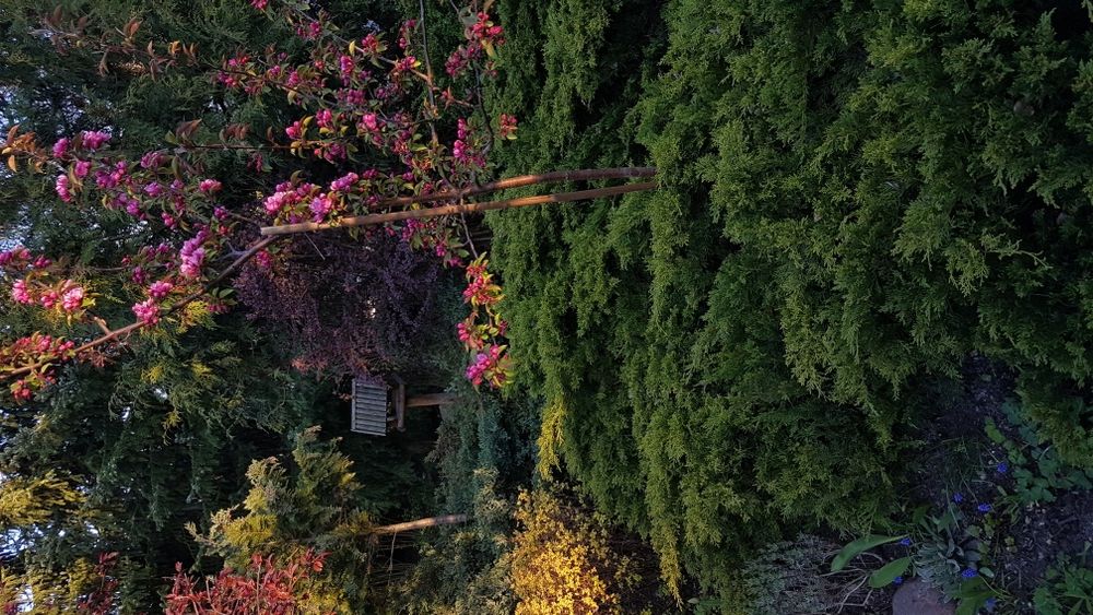 Projekt ogrodu przydomowego 1000m