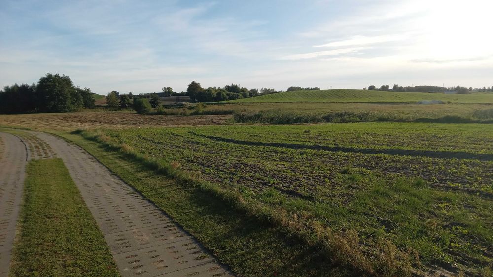 Działka budowlana Koślinka Sztum Malbork - Widok 5