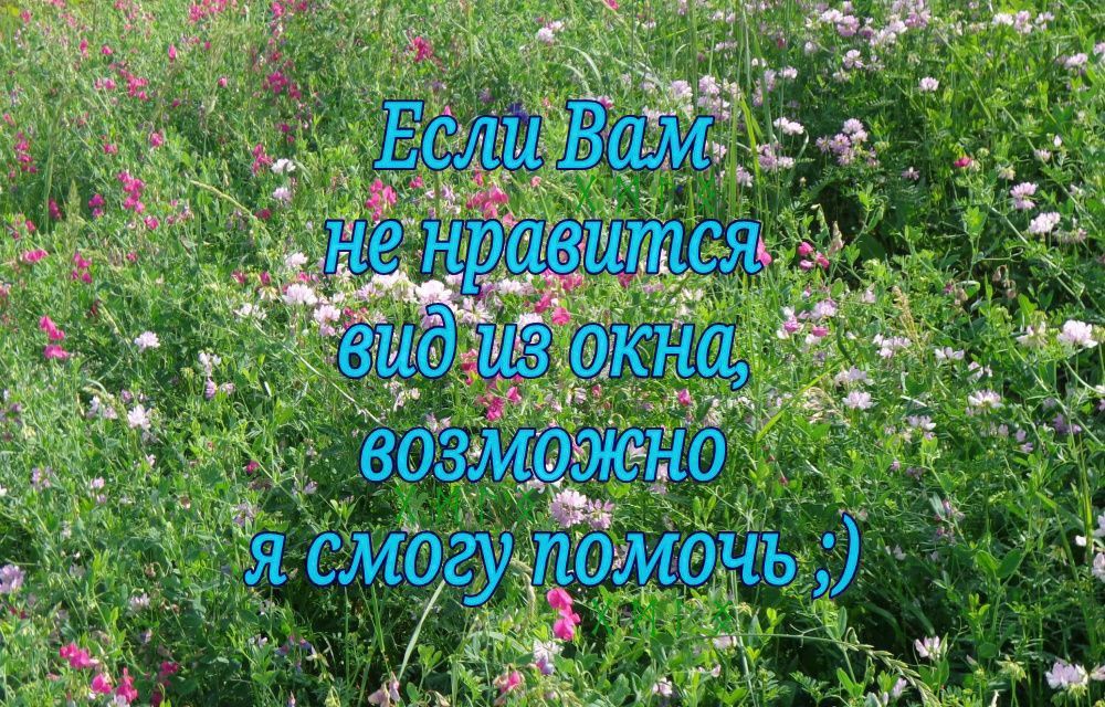 Дизайн и озеленение