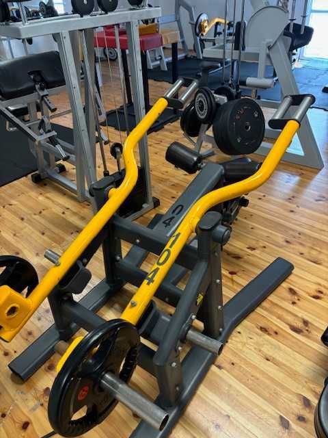 Master Sport maszyna na triceps