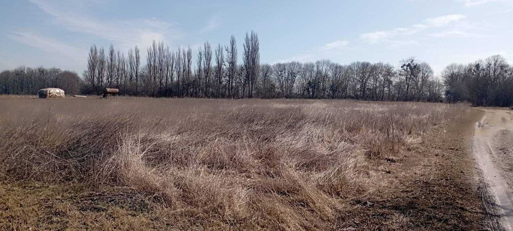 (8) Продається земельна ділянка в с. Лука-Мелешківська 9890