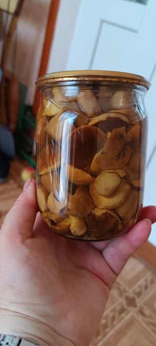 Гриби мариновані, домашні, польські,маслюки. Врожай 2025 р.