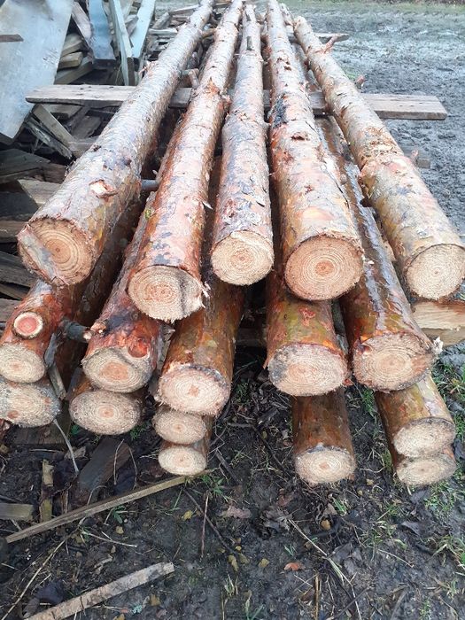 STEMPLE BUDOWLANE SOSNOWE NOWE WYSOKOŚć 3m Radom radom radom radom rad