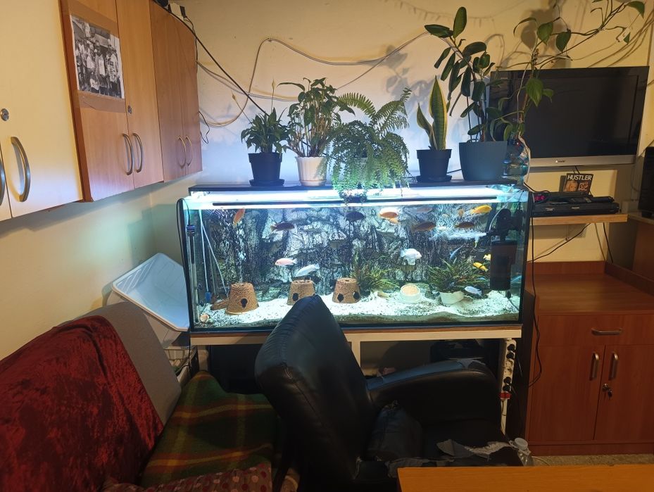 zestaw akwarium 375l