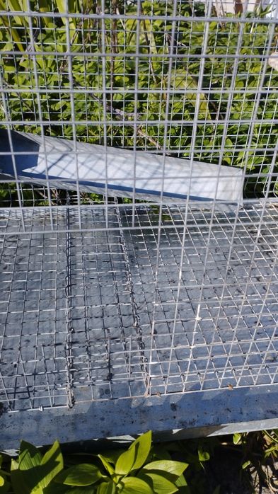 Viveiro para pássaros