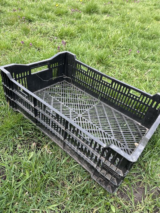 Продам ящики, пластмасові міцні ящики