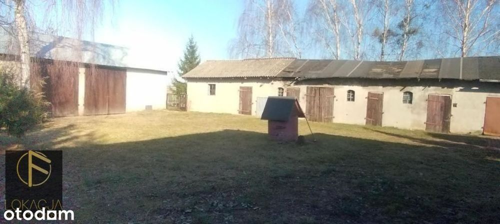 Zdjęcie 2