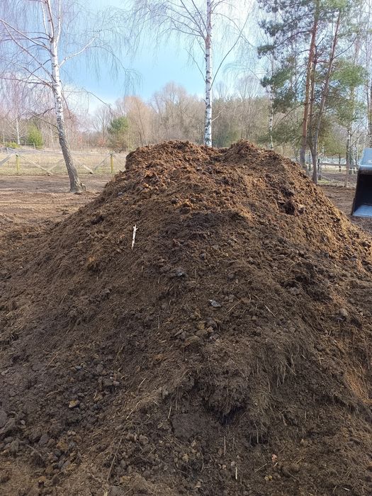 Obornik koński ziemia